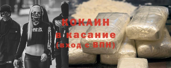 шишки Аша