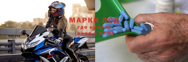 гидра Белая Холуница