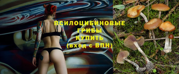 гидра Белая Холуница