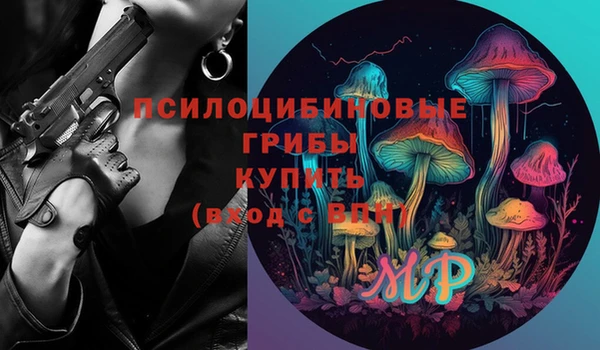 гидра Белая Холуница
