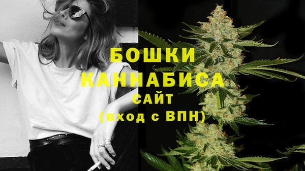 МДПВ Анива