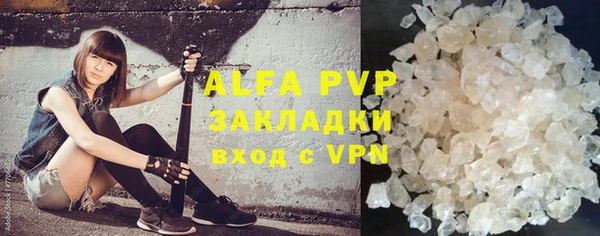 гидра Белая Холуница